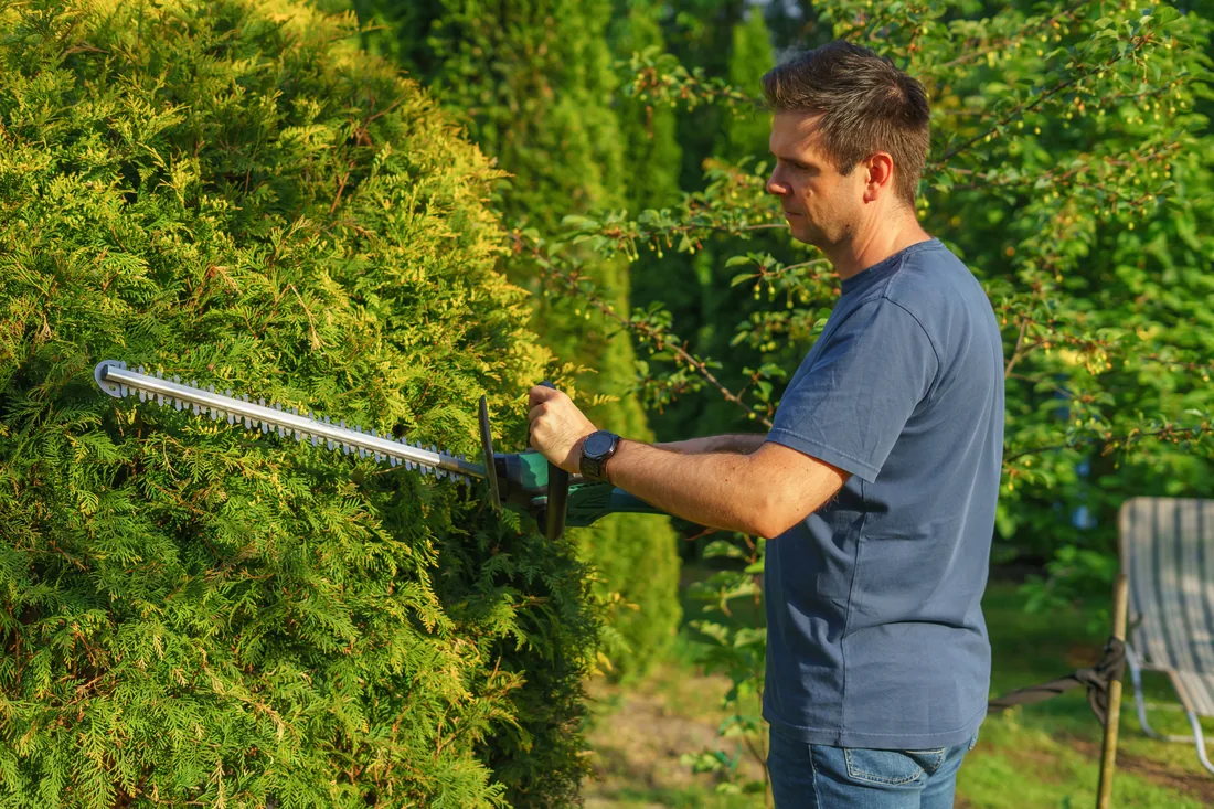 One of the brothers trimming a hedge
