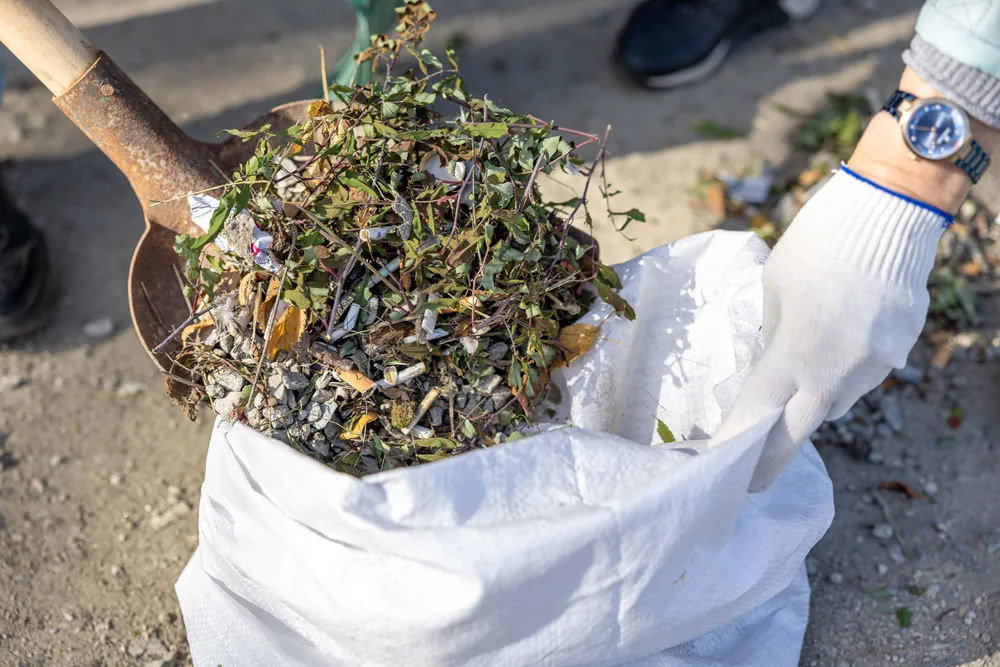 An overgrown bed being cleared with a shovel and sack