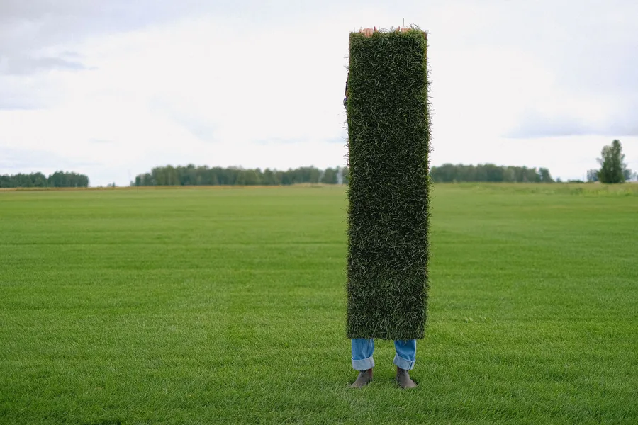 A gardener carrying a roll of turf across a lawn